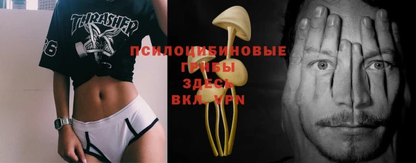 ГАЛЛЮЦИНОГЕННЫЕ ГРИБЫ Балабаново
