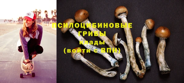 экстази Арсеньев