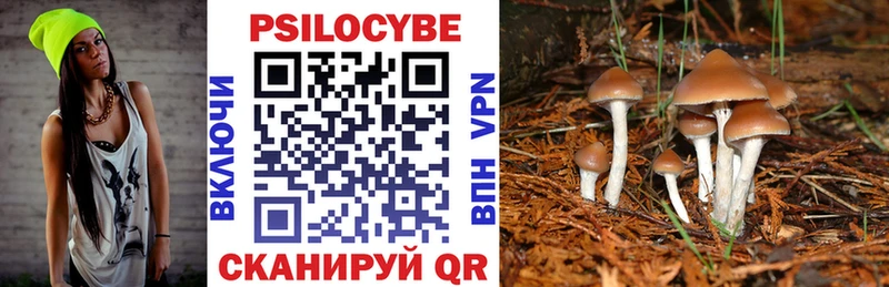 Галлюциногенные грибы ЛСД  Чекалин 